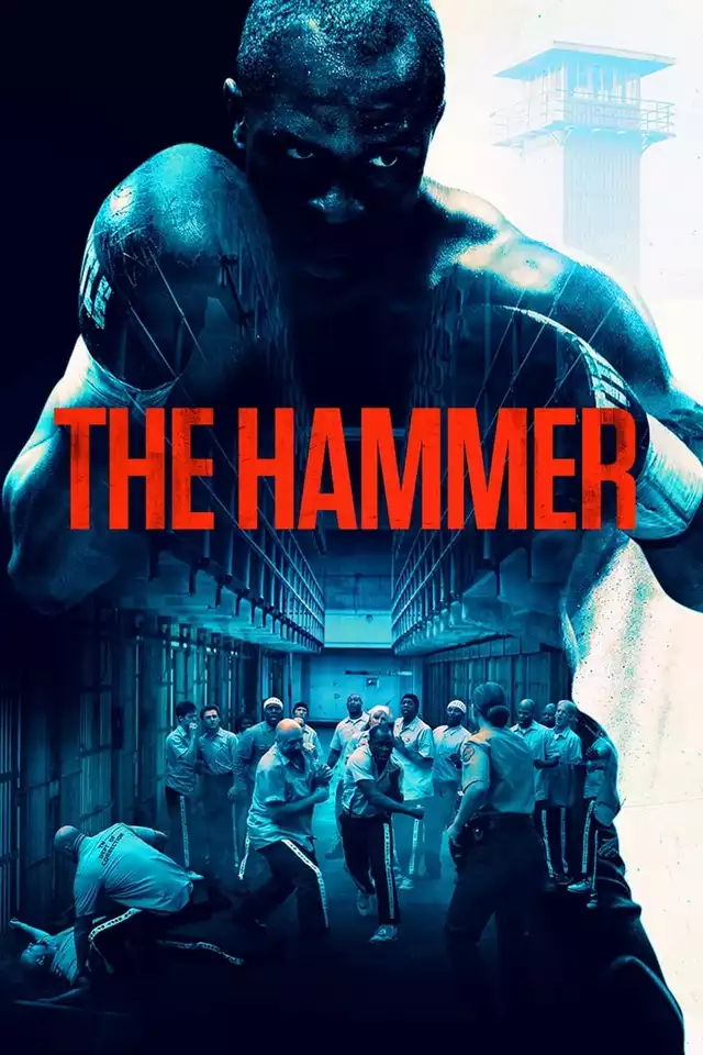 movie vertical poster fallback