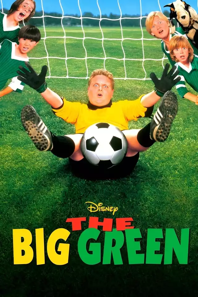 movie vertical poster fallback