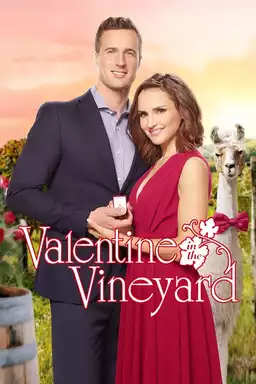 Valentine in the Vineyard