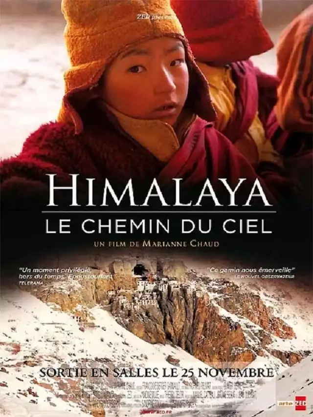 movie vertical poster fallback