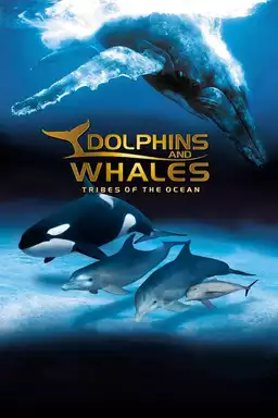 Dolphins and Whales: Tribes of the Ocean