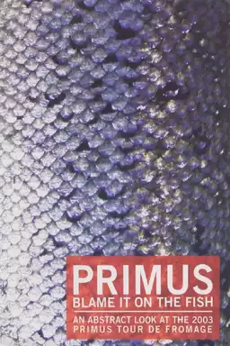 Primus - Blame It On The Fish