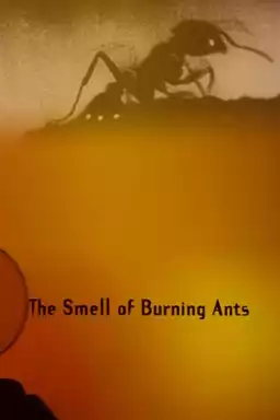 The Smell of Burning Ants