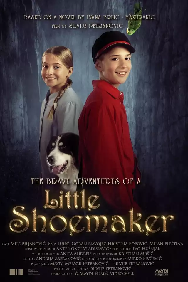 movie vertical poster fallback