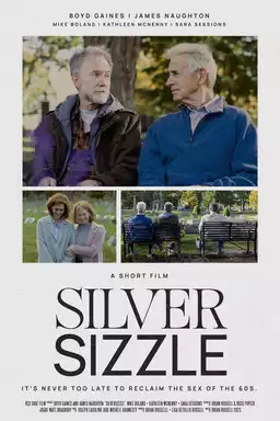 SilverSizzle