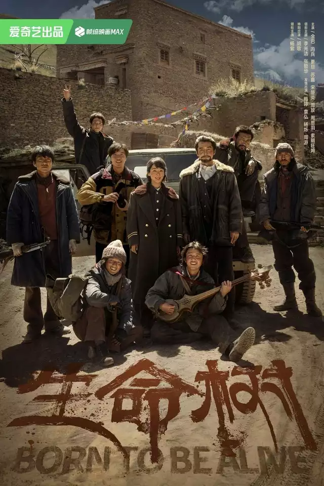 movie vertical poster fallback