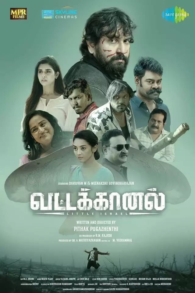 movie vertical poster fallback