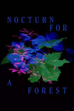 Nocturne for a Forest