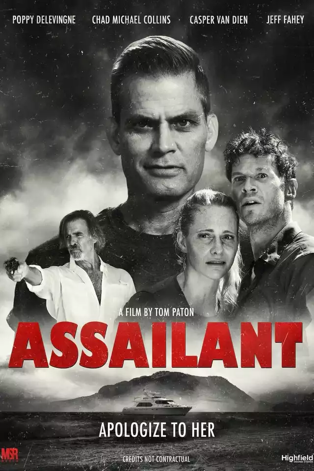 movie vertical poster fallback