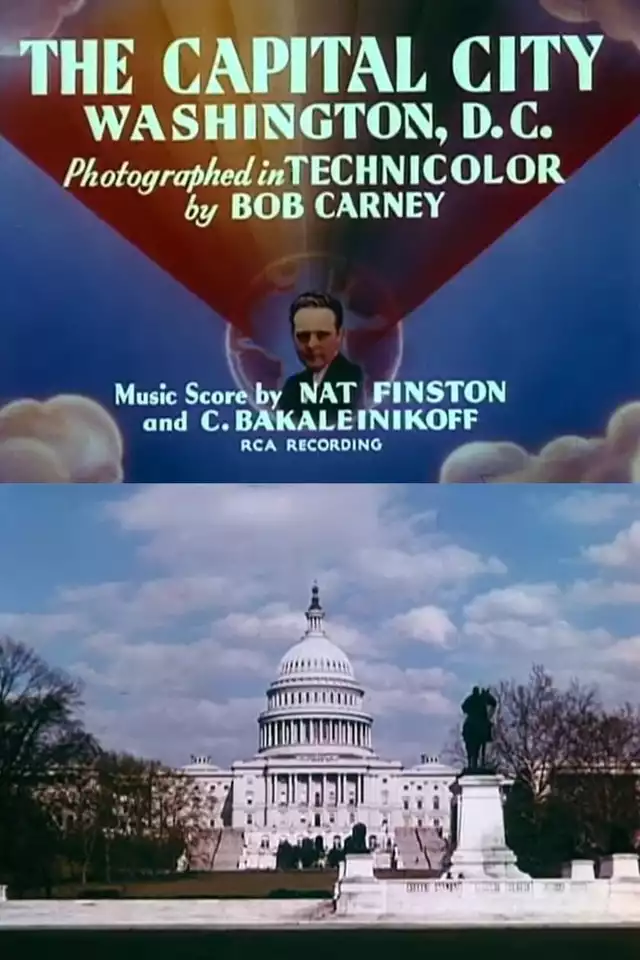 movie vertical poster fallback