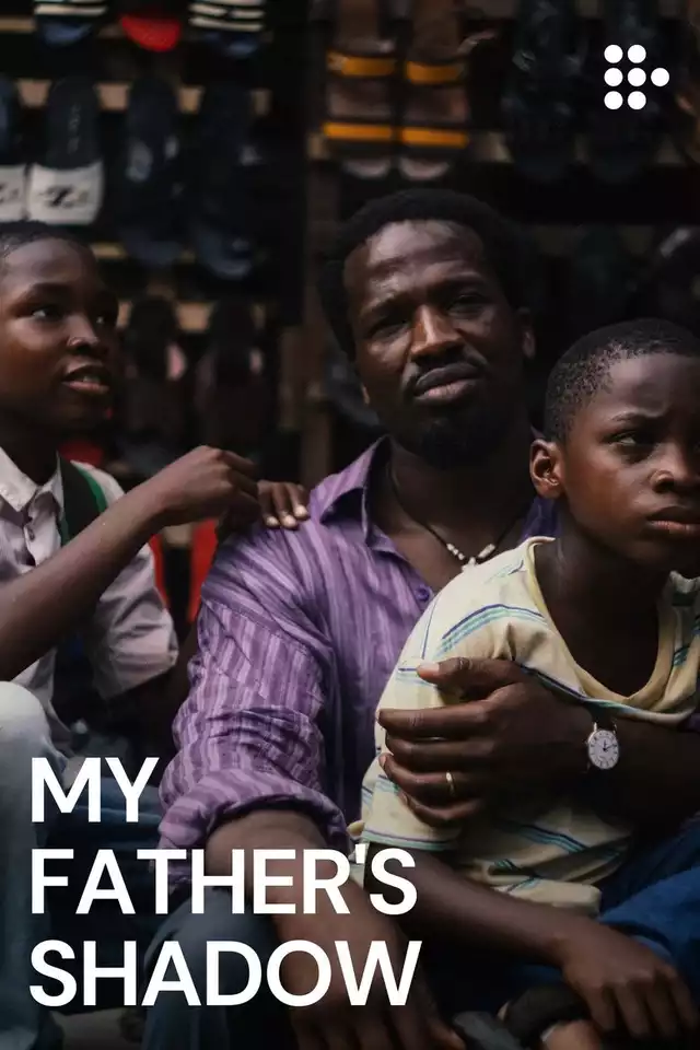 movie vertical poster fallback