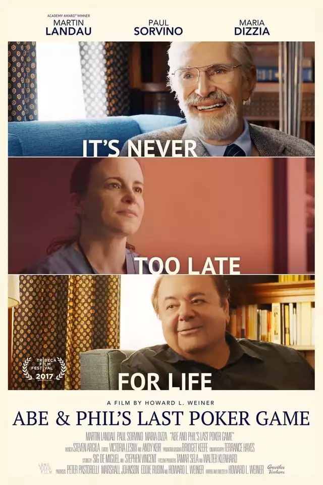 movie vertical poster fallback
