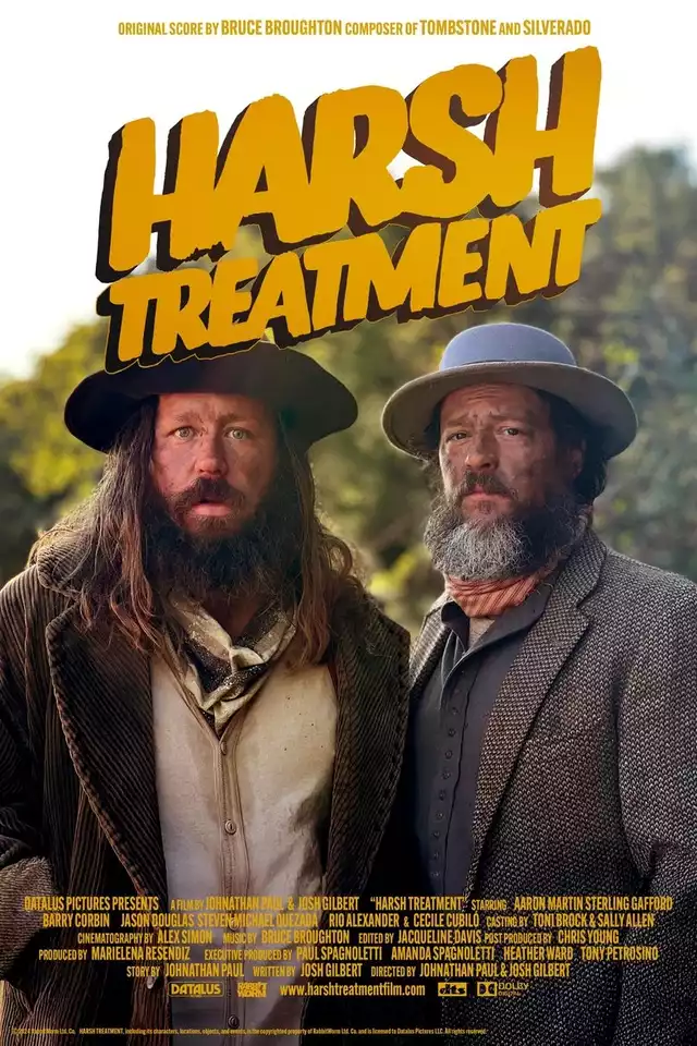 movie vertical poster fallback