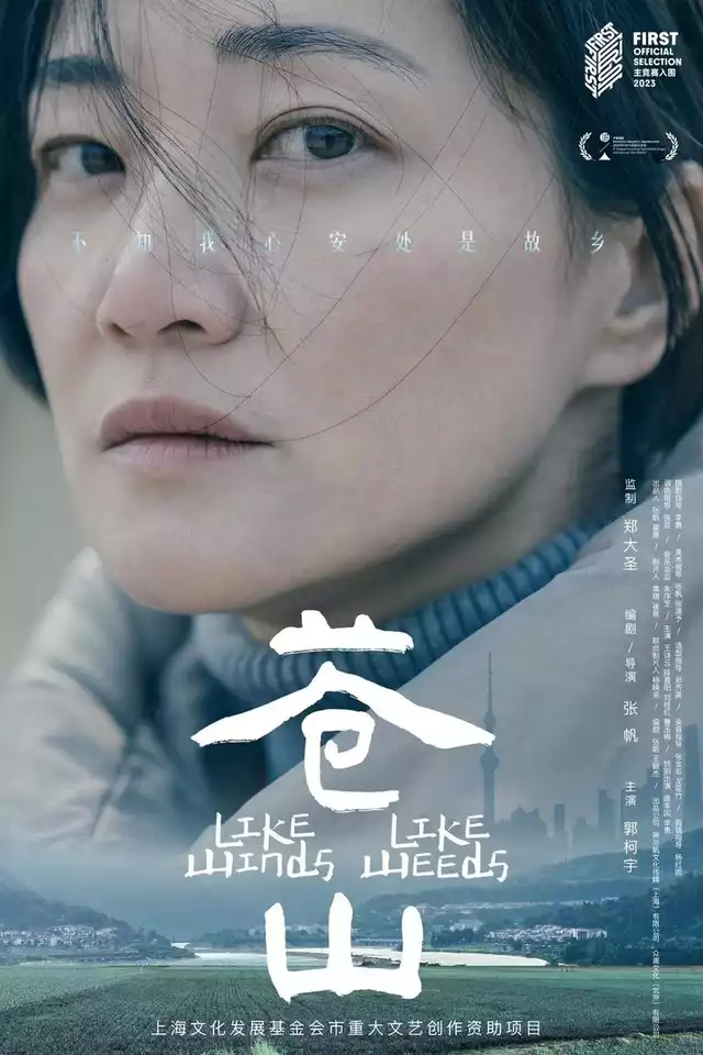 movie vertical poster fallback