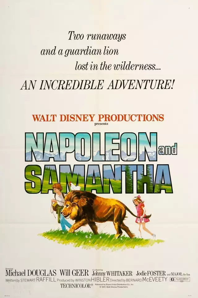 movie vertical poster fallback