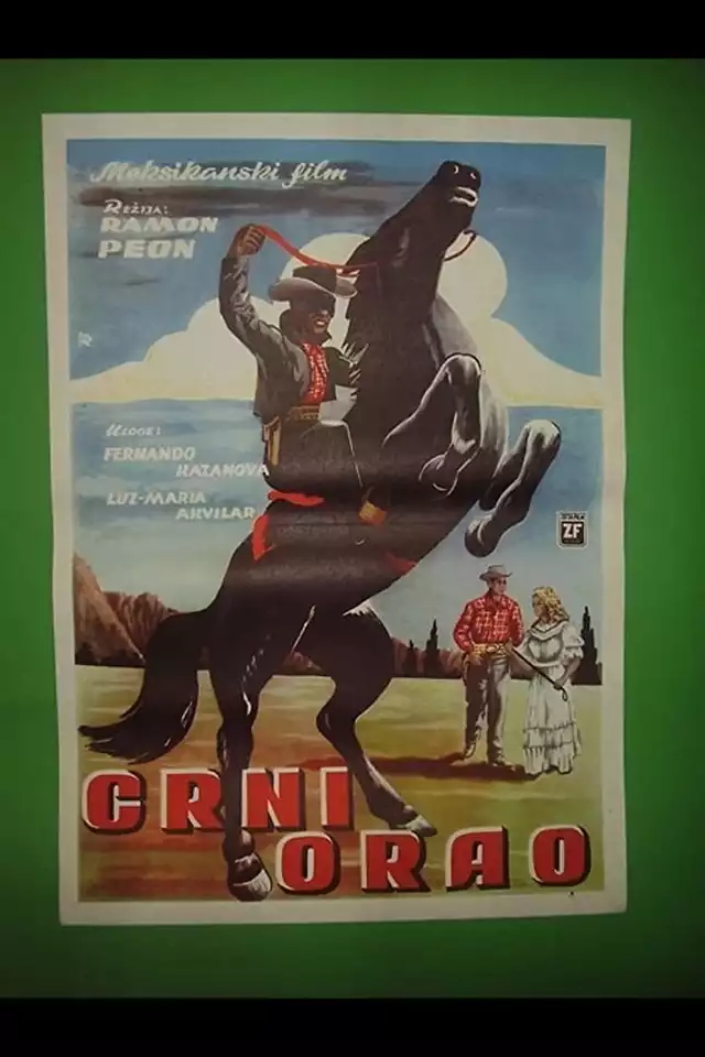 movie vertical poster fallback