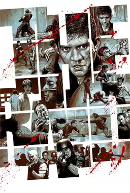 The Raid