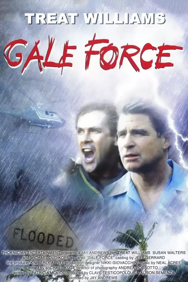 movie vertical poster fallback