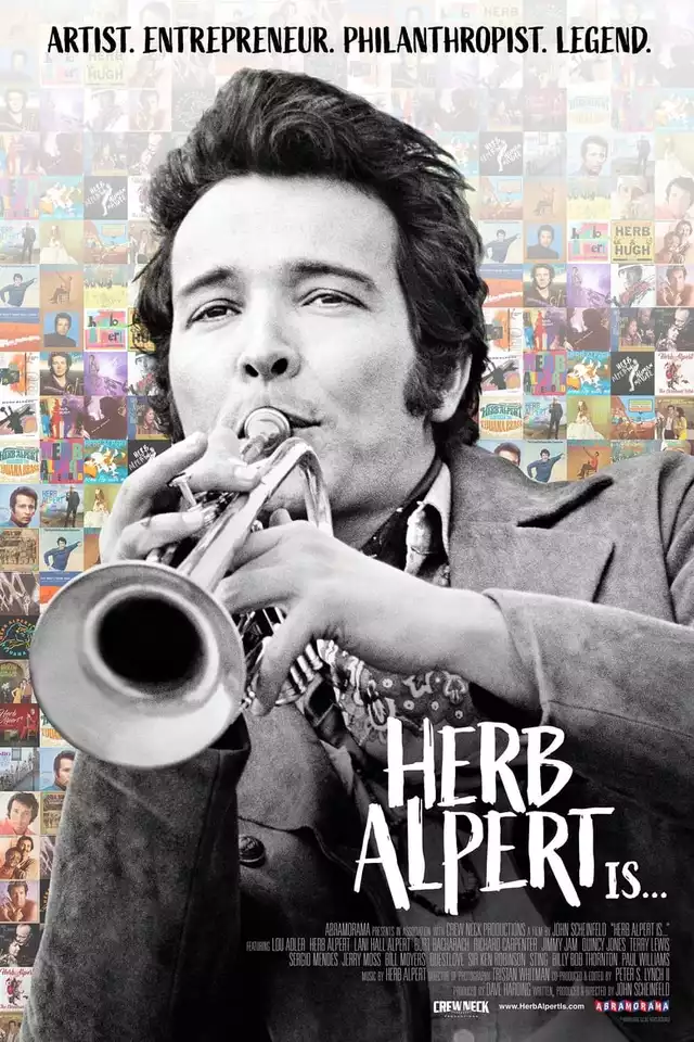 movie vertical poster fallback