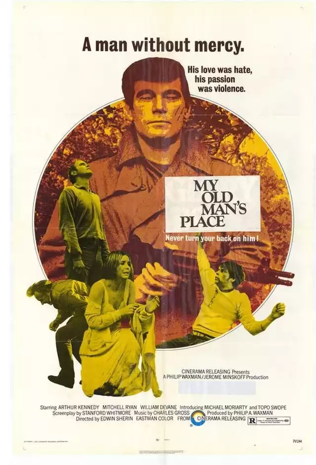 movie vertical poster fallback