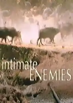 Intimate Enemies