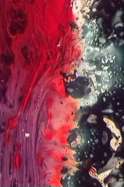 Arise Like a Fire