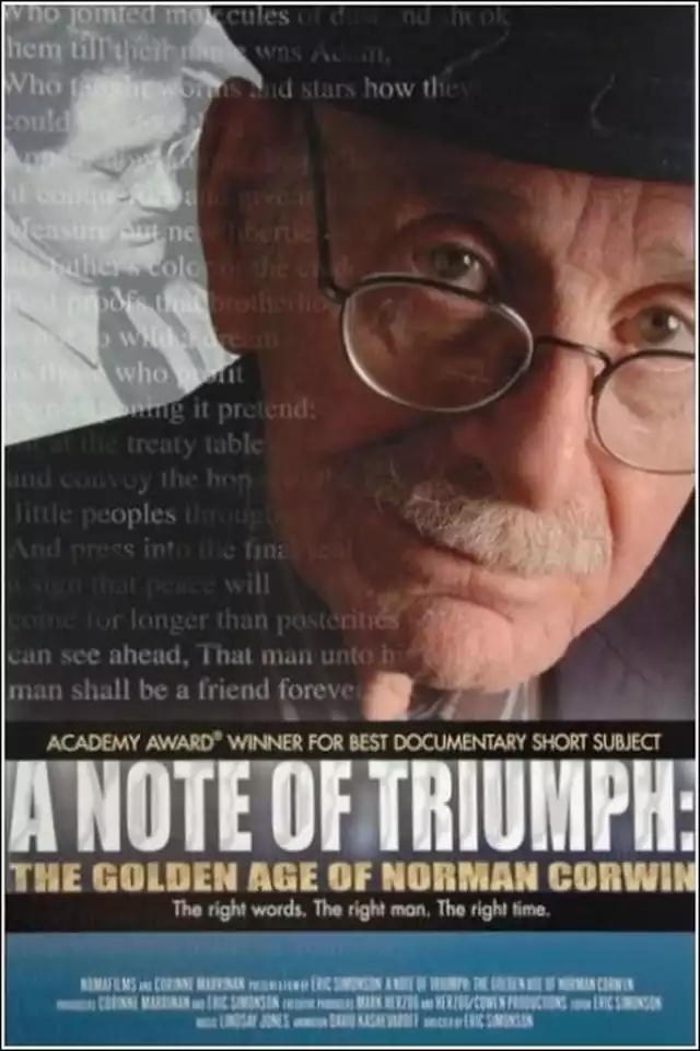 movie vertical poster fallback