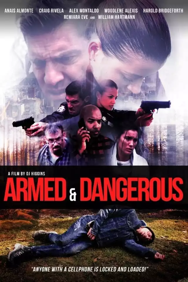 movie vertical poster fallback