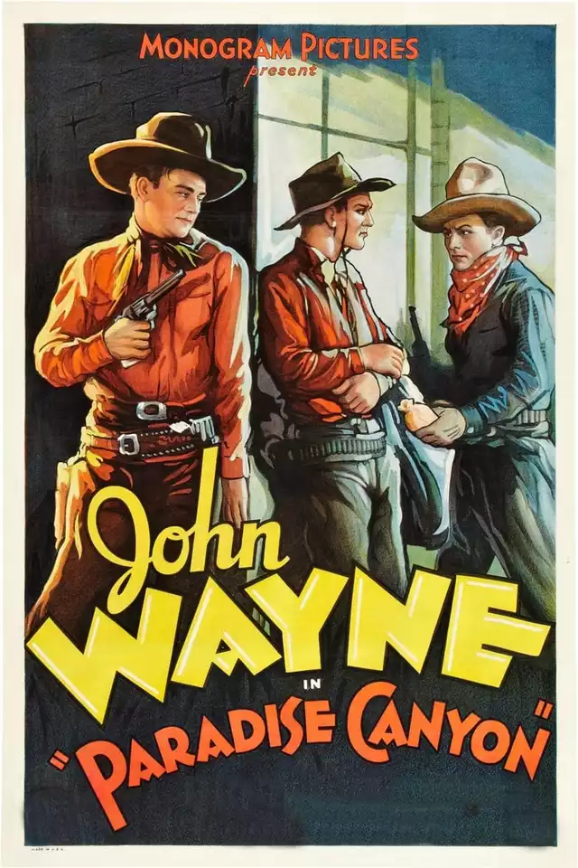 movie vertical poster fallback