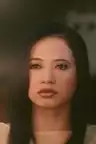 avatar fallback