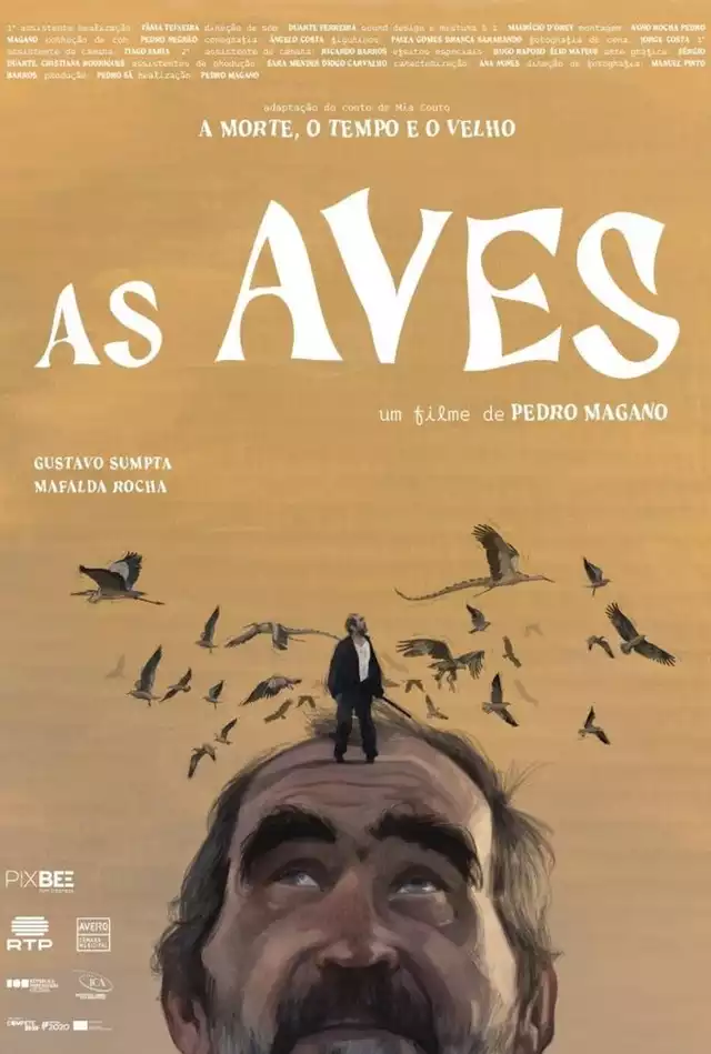 movie vertical poster fallback