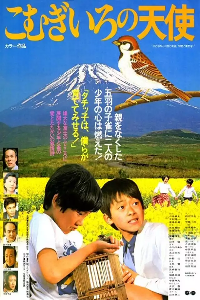 movie vertical poster fallback