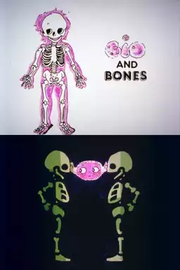 Bio and Bones