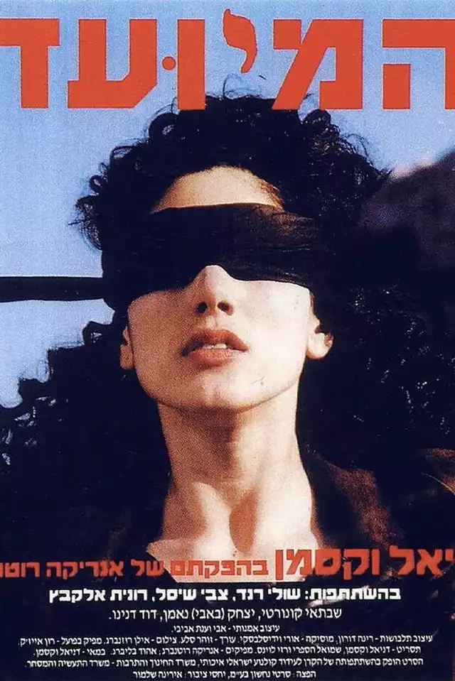 movie vertical poster fallback