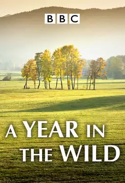 A Year in the Wild