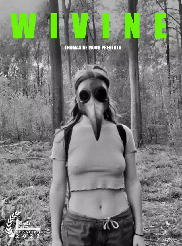 movie vertical poster fallback