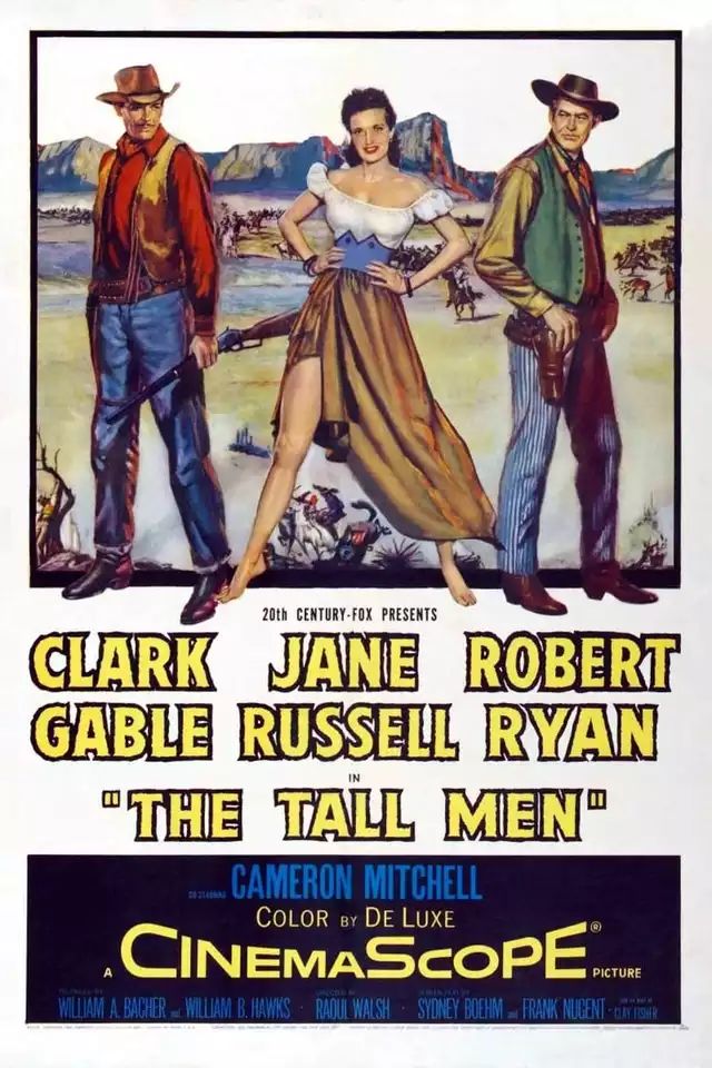 movie vertical poster fallback