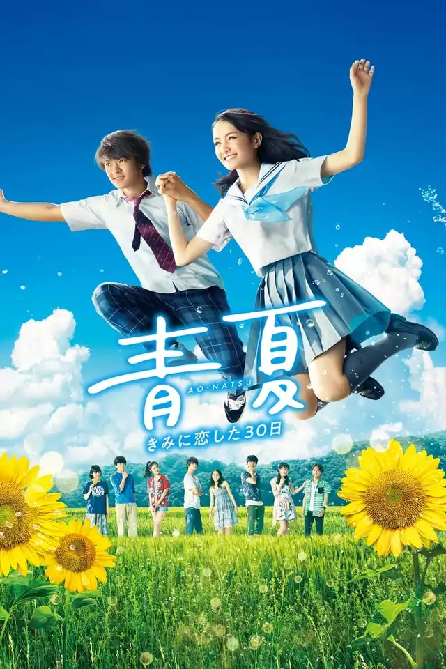 movie vertical poster fallback