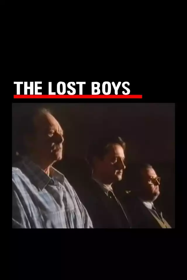 movie vertical poster fallback