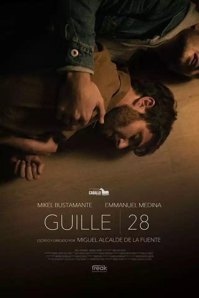 movie vertical poster fallback
