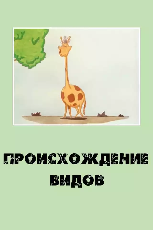 movie vertical poster fallback