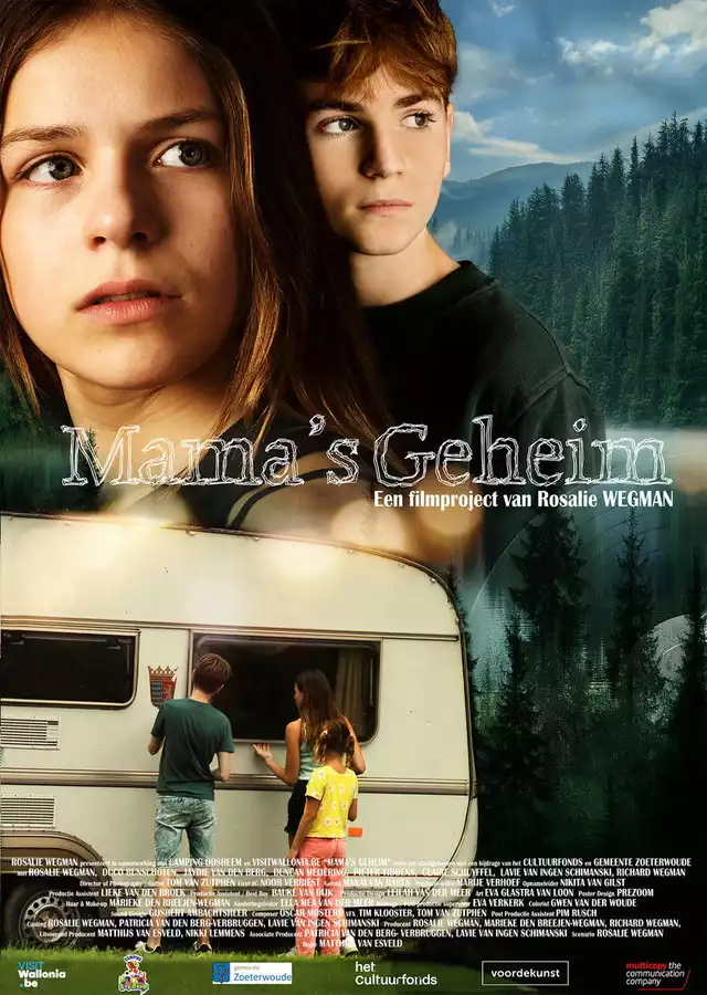 movie vertical poster fallback