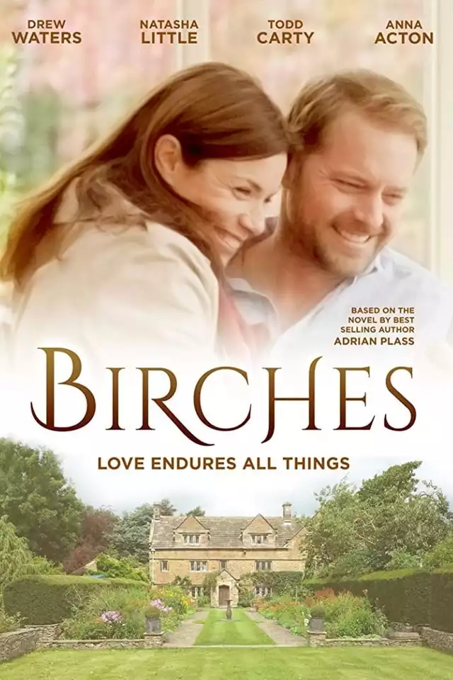 movie vertical poster fallback