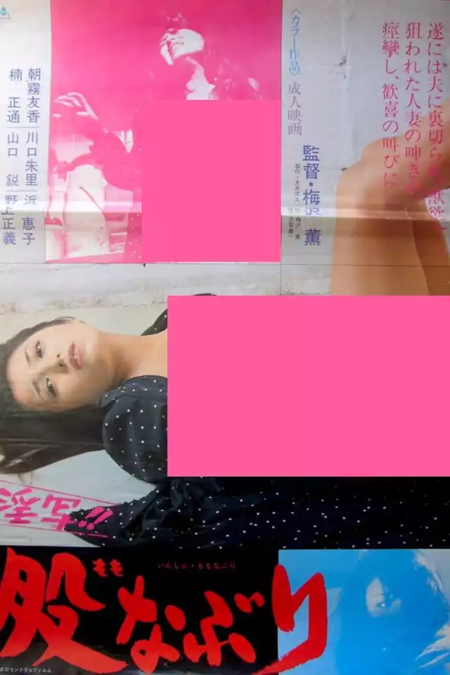 movie vertical poster fallback