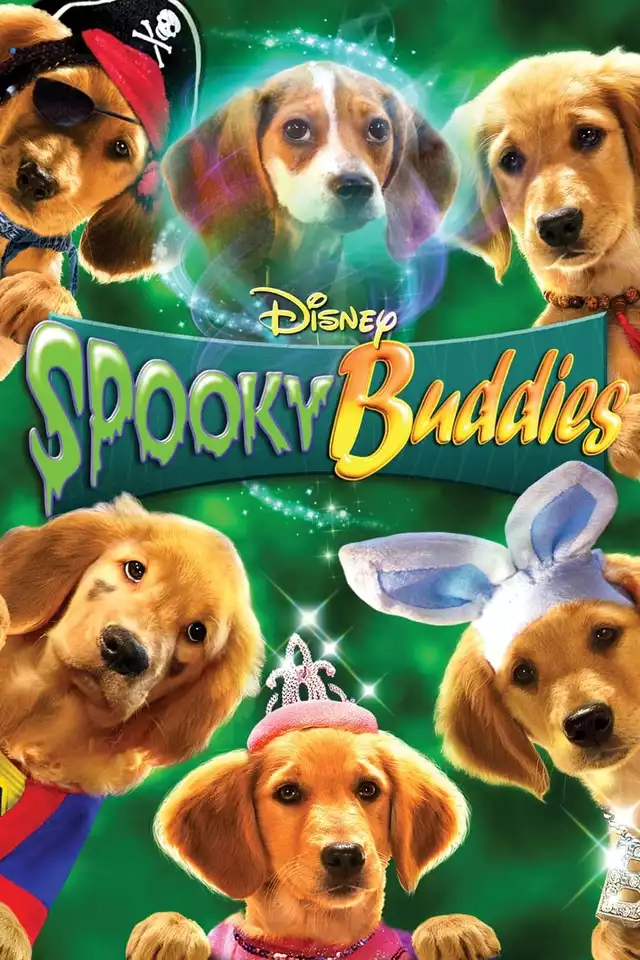 movie vertical poster fallback