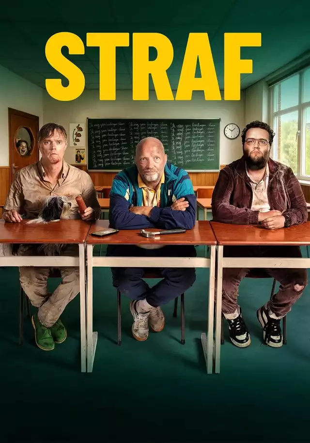 movie vertical poster fallback