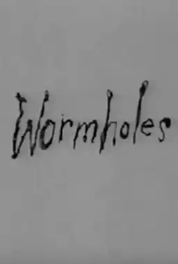 Wormholes