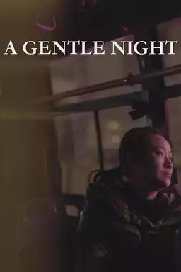 A Gentle Night