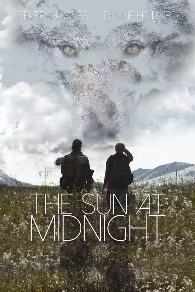 movie vertical poster fallback