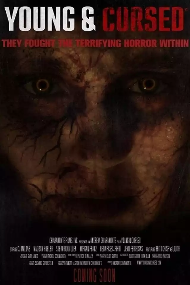 movie vertical poster fallback